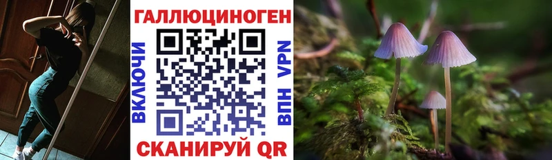 Псилоцибиновые грибы Magic Shrooms Гурьевск